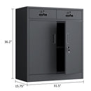 JINGUR Metal Storage Cabinet with Locking Doors and 2 Lockable Drawers, Black
