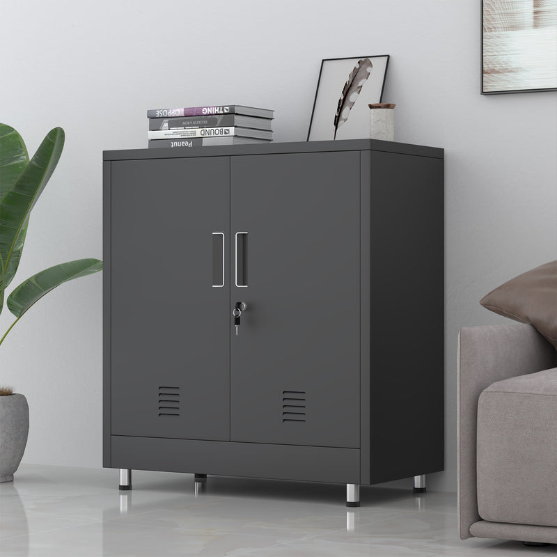 JINGUR Metal Storage Cabinet with Locking Doors and Adjustable Shelf, Black